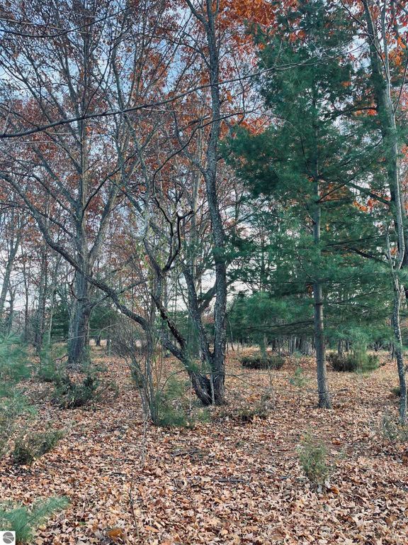 Image 10 of property listing at 00 Bunker Hill Road, Williamsburg, MI 49690