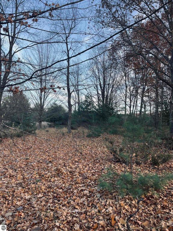 Image 11 of property listing at 00 Bunker Hill Road, Williamsburg, MI 49690