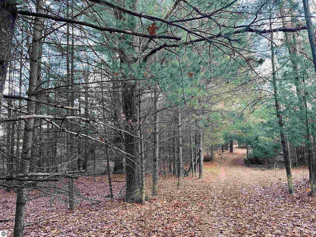 Image 8 of property listing at 00 Bunker Hill Road, Williamsburg, MI 49690