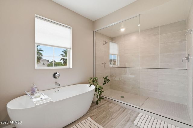 1516 E MEGAN Street, Gilbert, AZ 85295