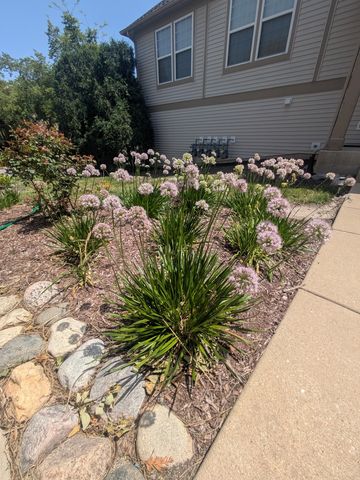 485 Conservatory Lane 485, Aurora, IL 60502