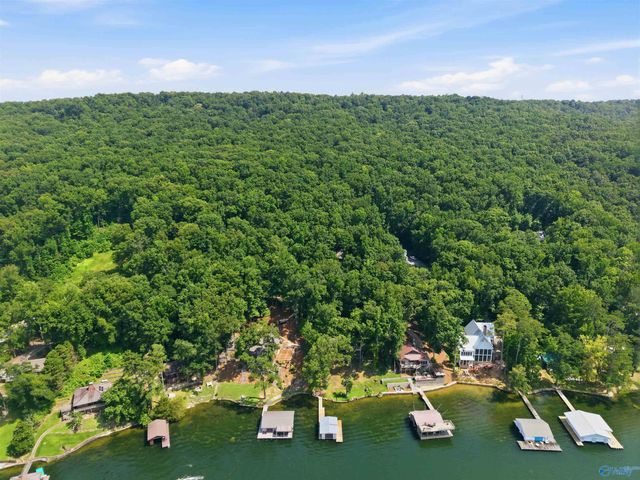 860 Snug Harbor Road, Grant, AL 35747