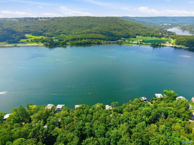 860 Snug Harbor Road, Grant, AL 35747