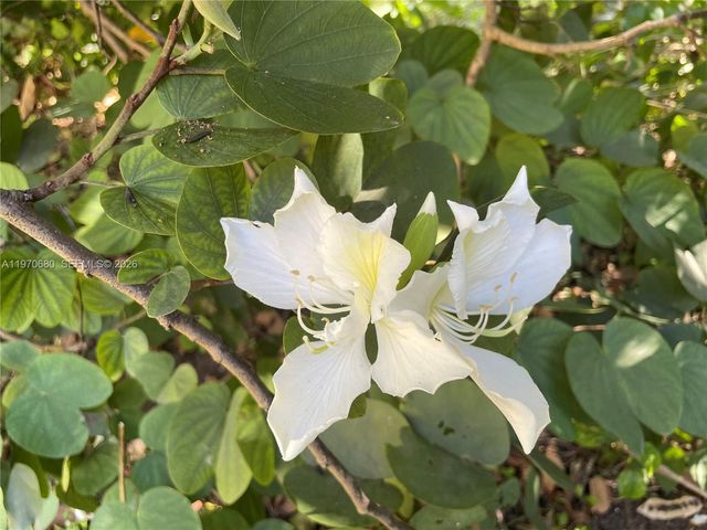 23755 SW 142nd Ave, Homestead, FL 33032