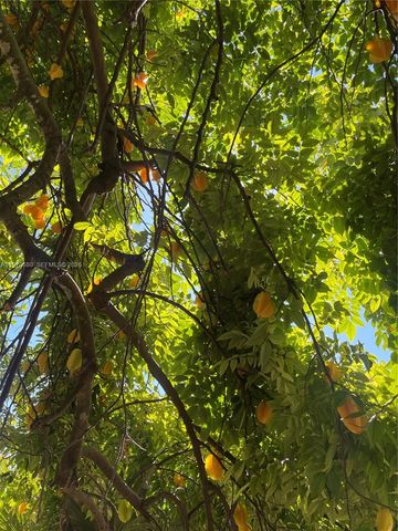 23755 SW 142nd Ave, Homestead, FL 33032