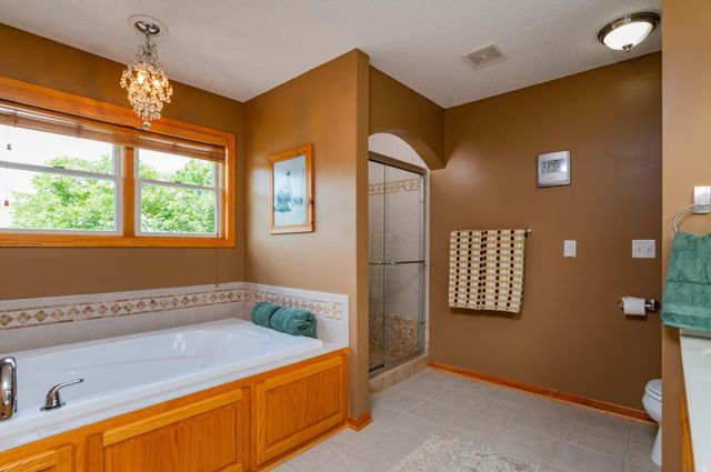 10610 Pinnacle Way, Woodbury, MN 55129