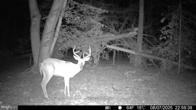 0 BOSTON CLIFF RD, Easton, MD 21601