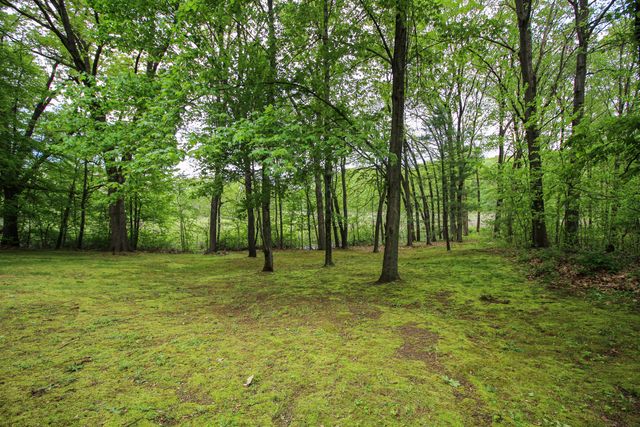 11111 Born Street, Three Rivers, MI 49093