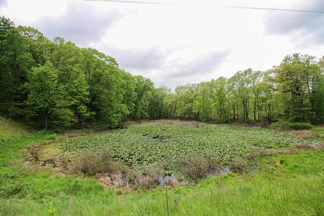 11111 Born Street, Three Rivers, MI 49093