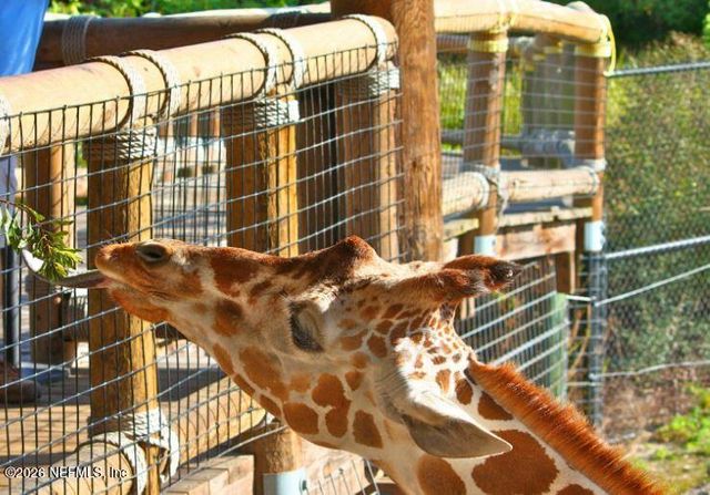 3079 BELLA COLLINA WAY, Green Cove Springs, FL 32043