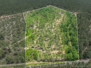 15.84 Acre Crown Zellerback Rd., Lumberton, MS 39455