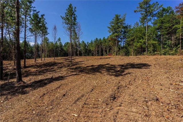 1 Young Loop, Fairmount, GA 30139