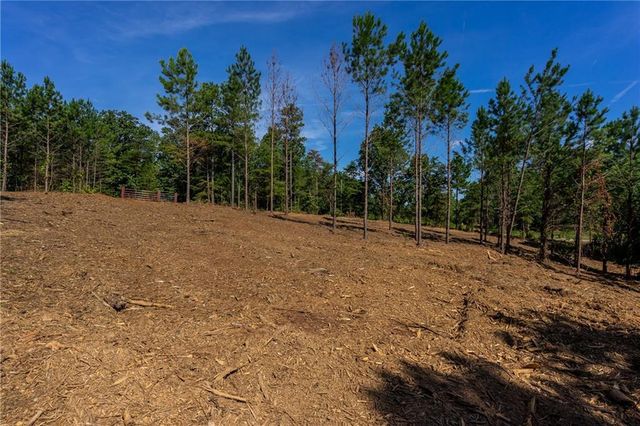 1 Young Loop, Fairmount, GA 30139