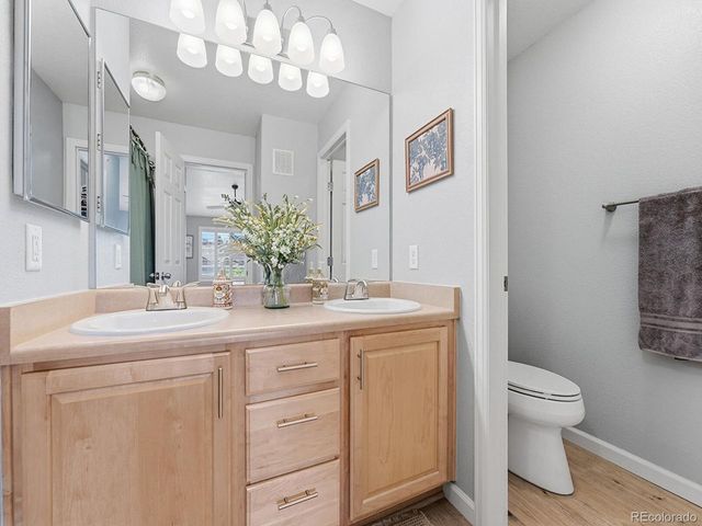 431 Black Feather Loop 8-810, Castle Rock, CO 80104