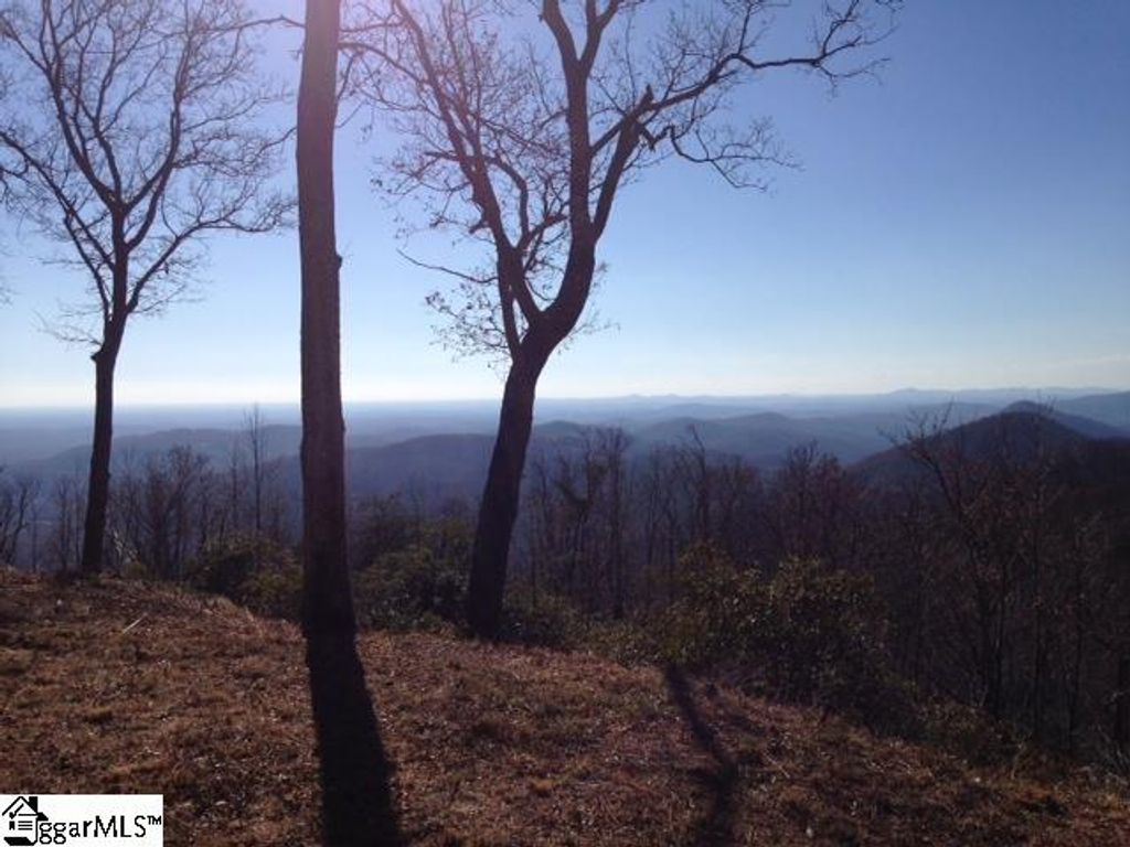 1506 Panther Park Trail, Travelers Rest, SC 29690