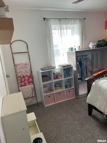 816 E STEVENSON Street, Taylorville, IL 62568