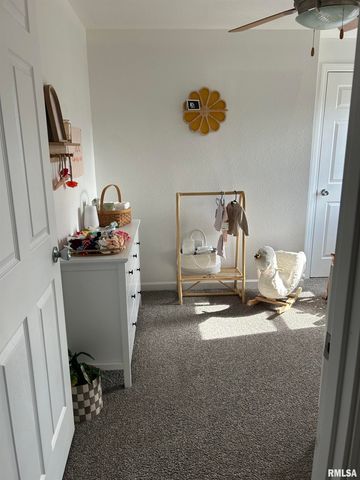 816 E STEVENSON Street, Taylorville, IL 62568