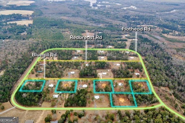 1217 Flathead Road, Vienna, GA 31092