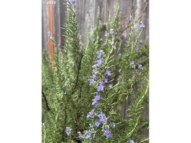 15240 Sw 100TH Ave, Tigard, OR 97224