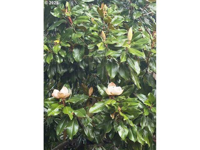 15240 Sw 100TH Ave, Tigard, OR 97224