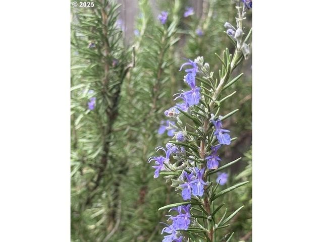 15240 Sw 100TH Ave, Tigard, OR 97224