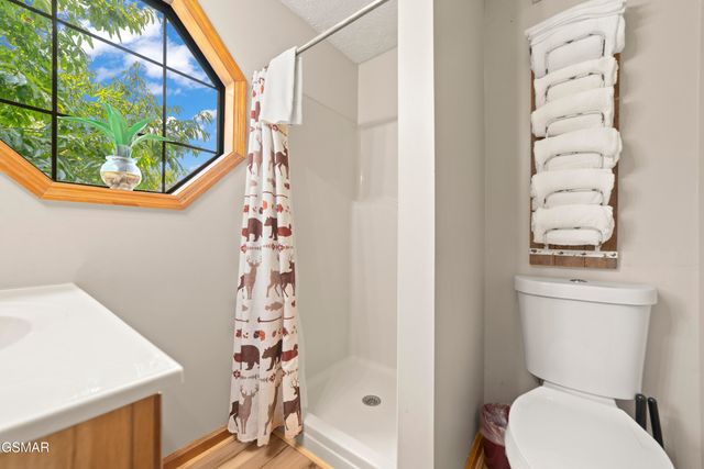 1656 Racoon Den Way, Sevierville, TN 37862