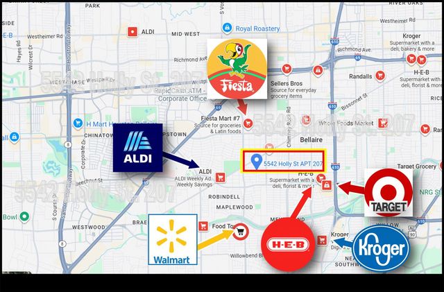 5542 Holly Street 207, Houston, TX 77081