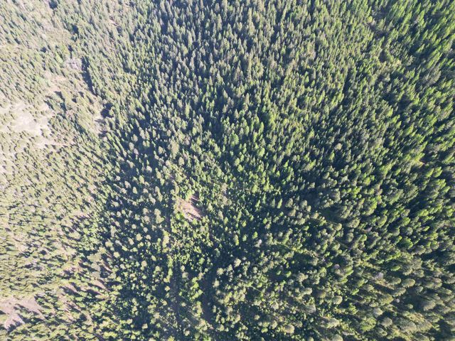 NKA LOOKOUT Rd, Newport, WA 99156