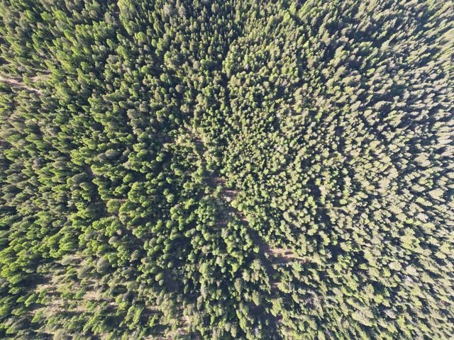 NKA LOOKOUT Rd, Newport, WA 99156