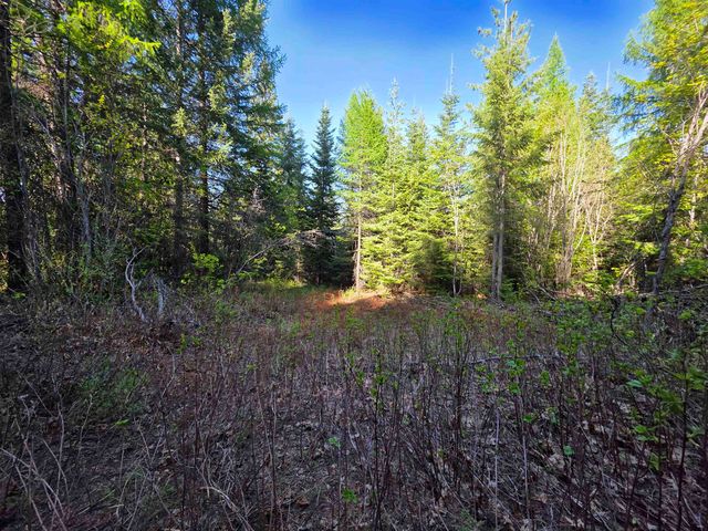 NKA LOOKOUT Rd, Newport, WA 99156