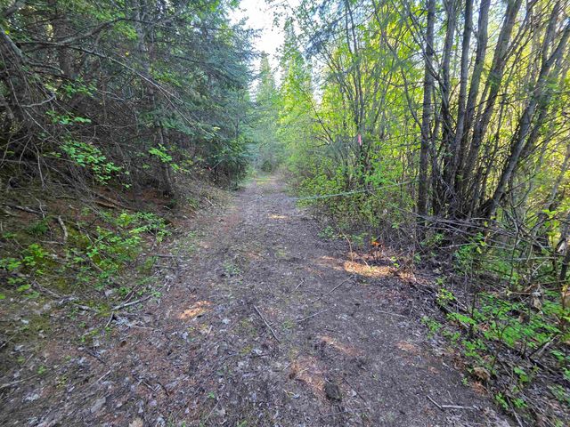 NKA LOOKOUT Rd, Newport, WA 99156