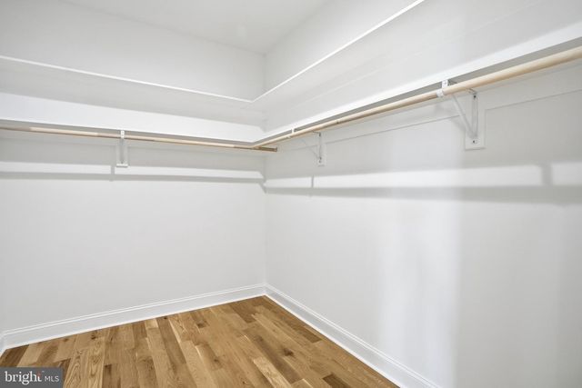 6512 WILLIAMSBURG BLVD, Arlington, VA 22213