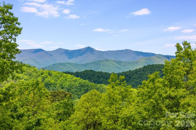 1659 High Rock Acres Drive, Black Mountain, NC 28711