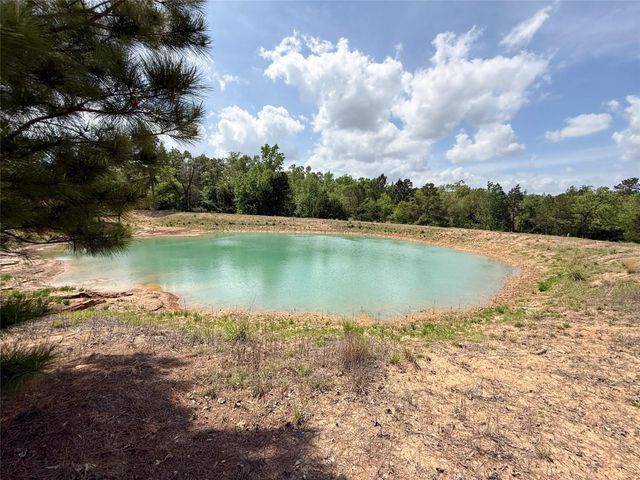 740 Bridget Avenue, Buffalo, TX 75831