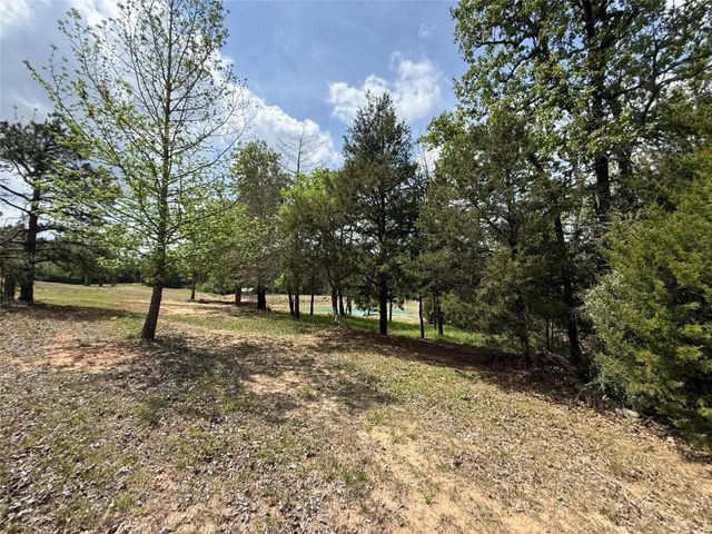 740 Bridget Avenue, Buffalo, TX 75831