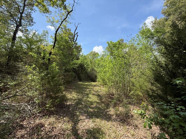 740 Bridget Avenue, Buffalo, TX 75831