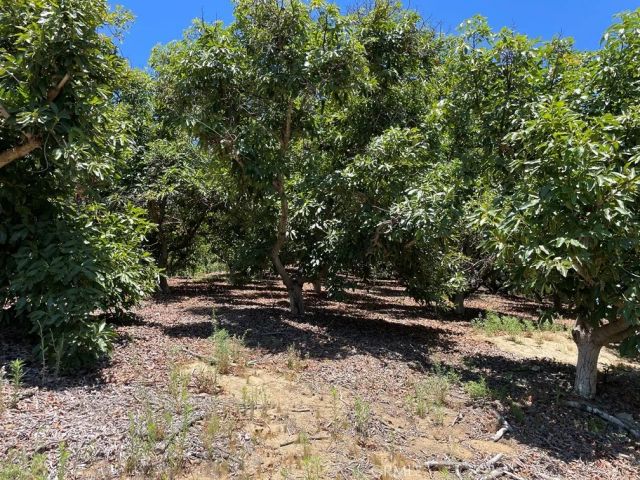 2 Via Vaquero, Temecula, CA 92590