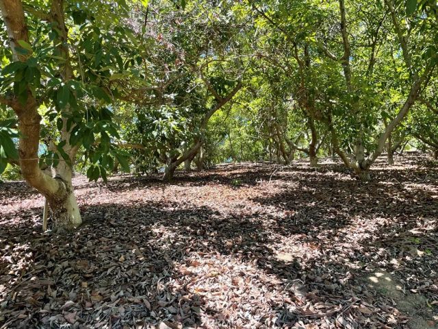 2 Via Vaquero, Temecula, CA 92590