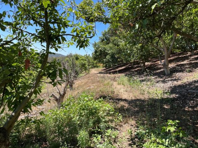 2 Via Vaquero, Temecula, CA 92590