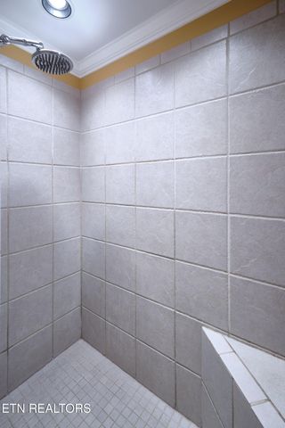 730 Deep Woods Lane, Seymour, TN 37865