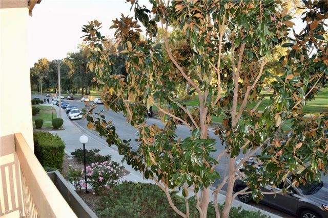 24525 W Trevino Drive U2, Valencia, CA 91355