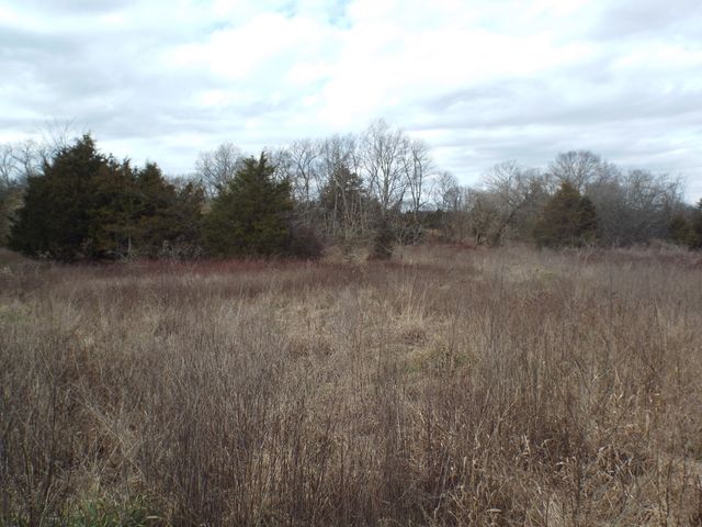 6294 Snail Shell Cave Rd, Rockvale, TN 37153