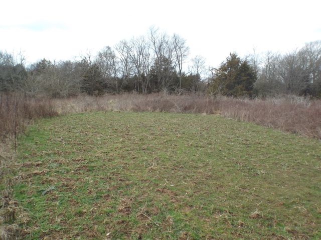 6294 Snail Shell Cave Rd, Rockvale, TN 37153