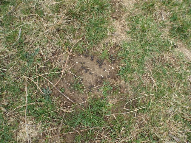 6294 Snail Shell Cave Rd, Rockvale, TN 37153