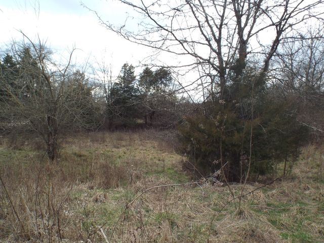 6294 Snail Shell Cave Rd, Rockvale, TN 37153