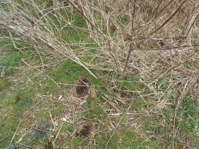 6294 Snail Shell Cave Rd, Rockvale, TN 37153