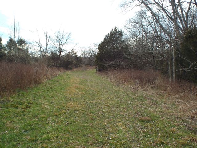 6294 Snail Shell Cave Rd, Rockvale, TN 37153