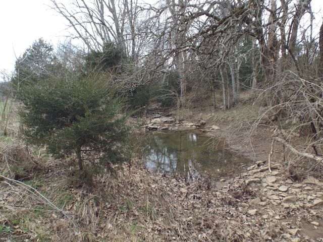 6294 Snail Shell Cave Rd, Rockvale, TN 37153