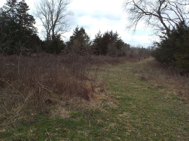 6294 Snail Shell Cave Rd, Rockvale, TN 37153