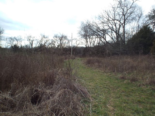 6294 Snail Shell Cave Rd, Rockvale, TN 37153